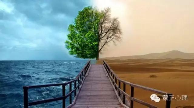 心理咨询没有奇迹,只有过程