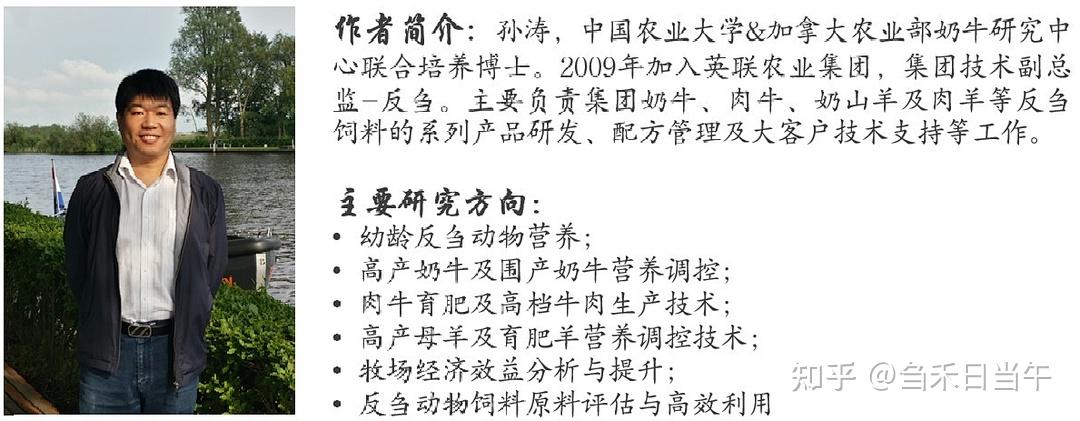 孙涛博士育肥羊全混合日粮颗粒系列一现状及优劣势分析