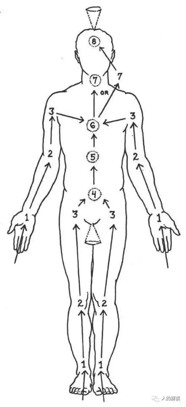 第一脉轮:海底轮,你的能量之门必须敞开