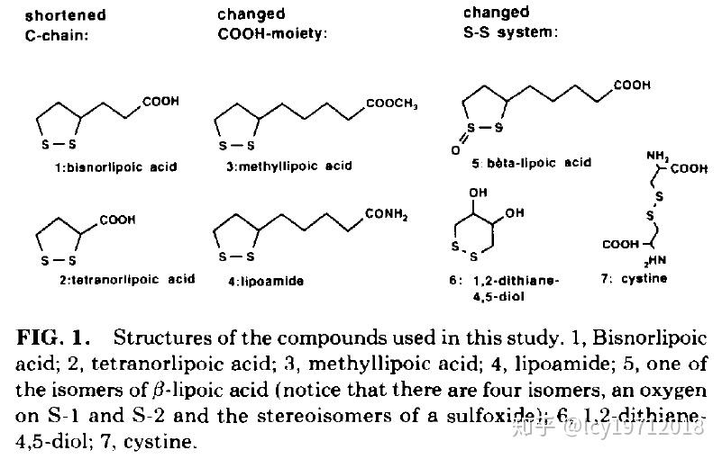 硫辛酸简单的分子强大的功能以及极易混淆的名称