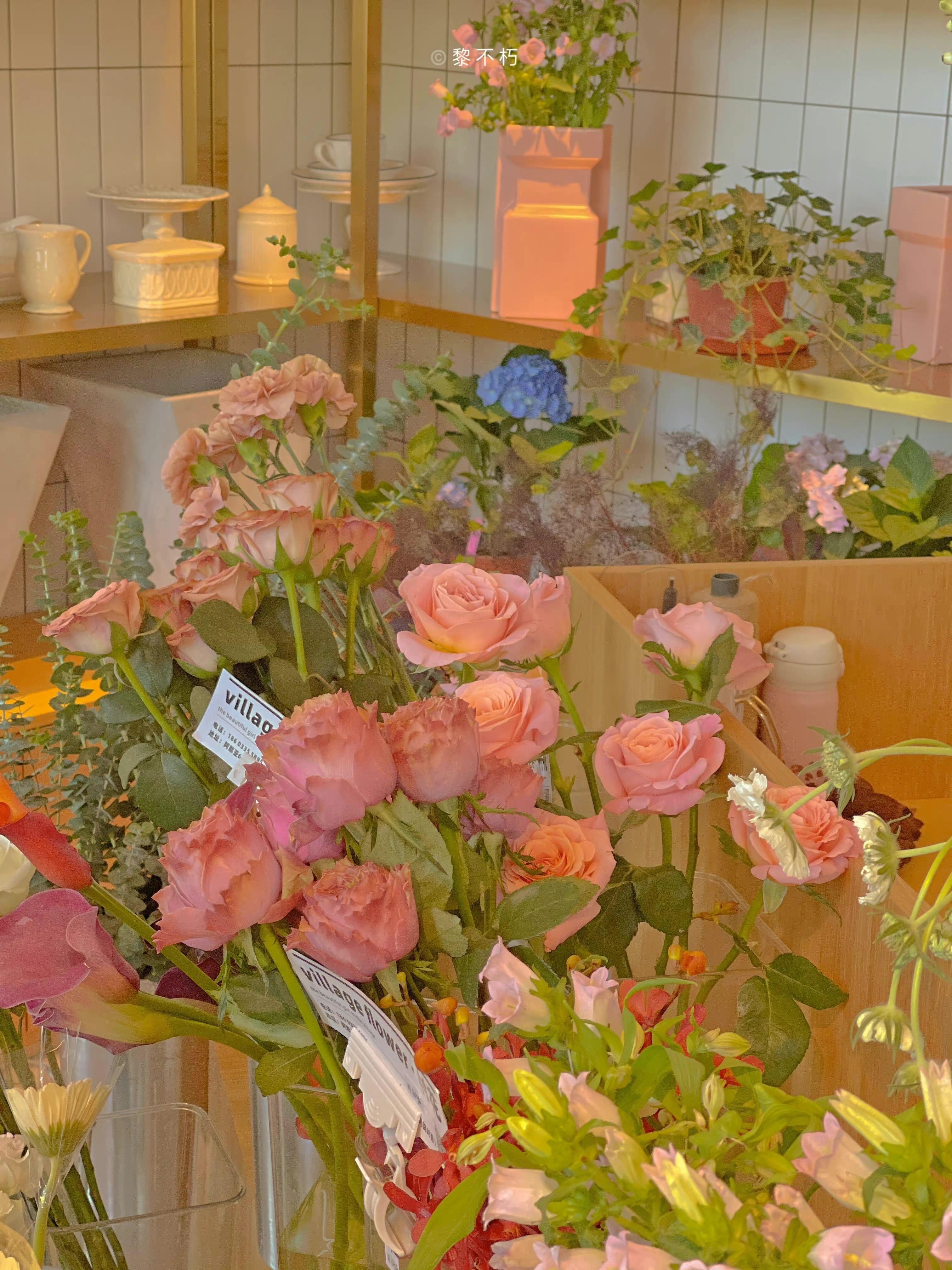 有没有这样关于玫瑰花的微信背景图或者有意境的文字背景图? - 知乎