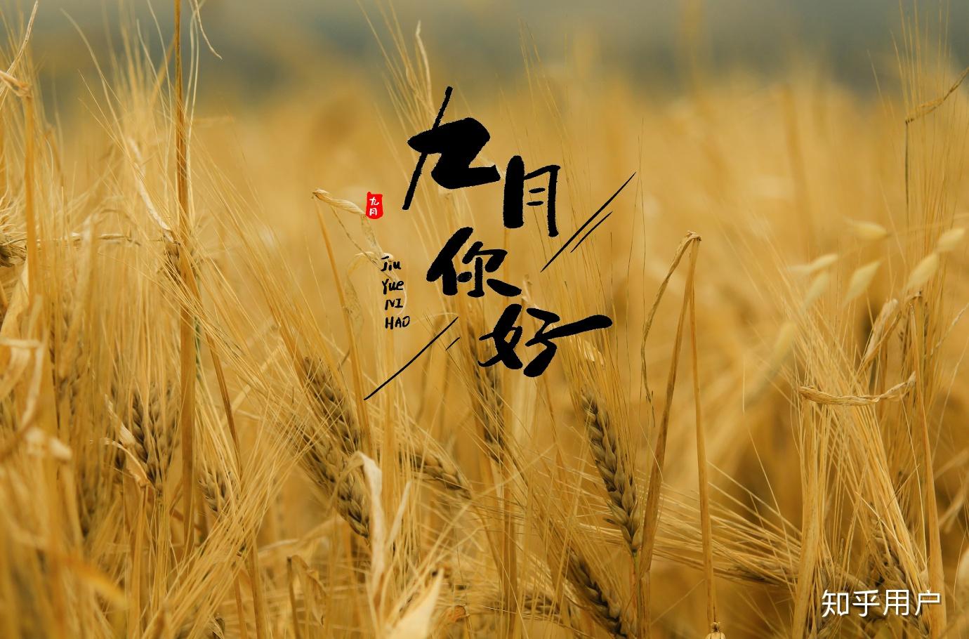 有没有适合迎接9月的文案