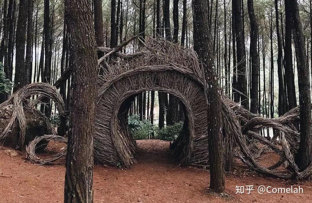 【日惹】原来有这么多超美爆红秘境，种草不一样的日惹 - 知乎