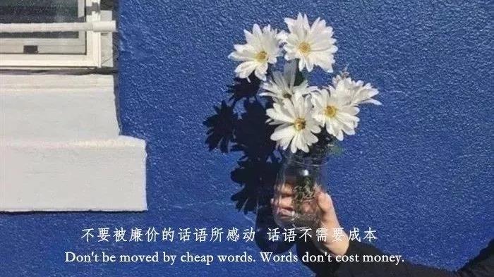 高冷文案社会人 v2-8624e1b59a7575e2e573eedc1ba068aa_1440w.jpg?source=172ae18b