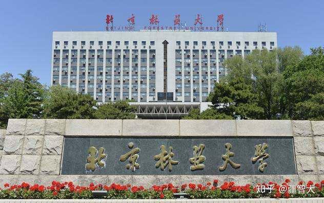 请问去上新疆的211和去一线城市上一本哪个更好本人理工女一枚