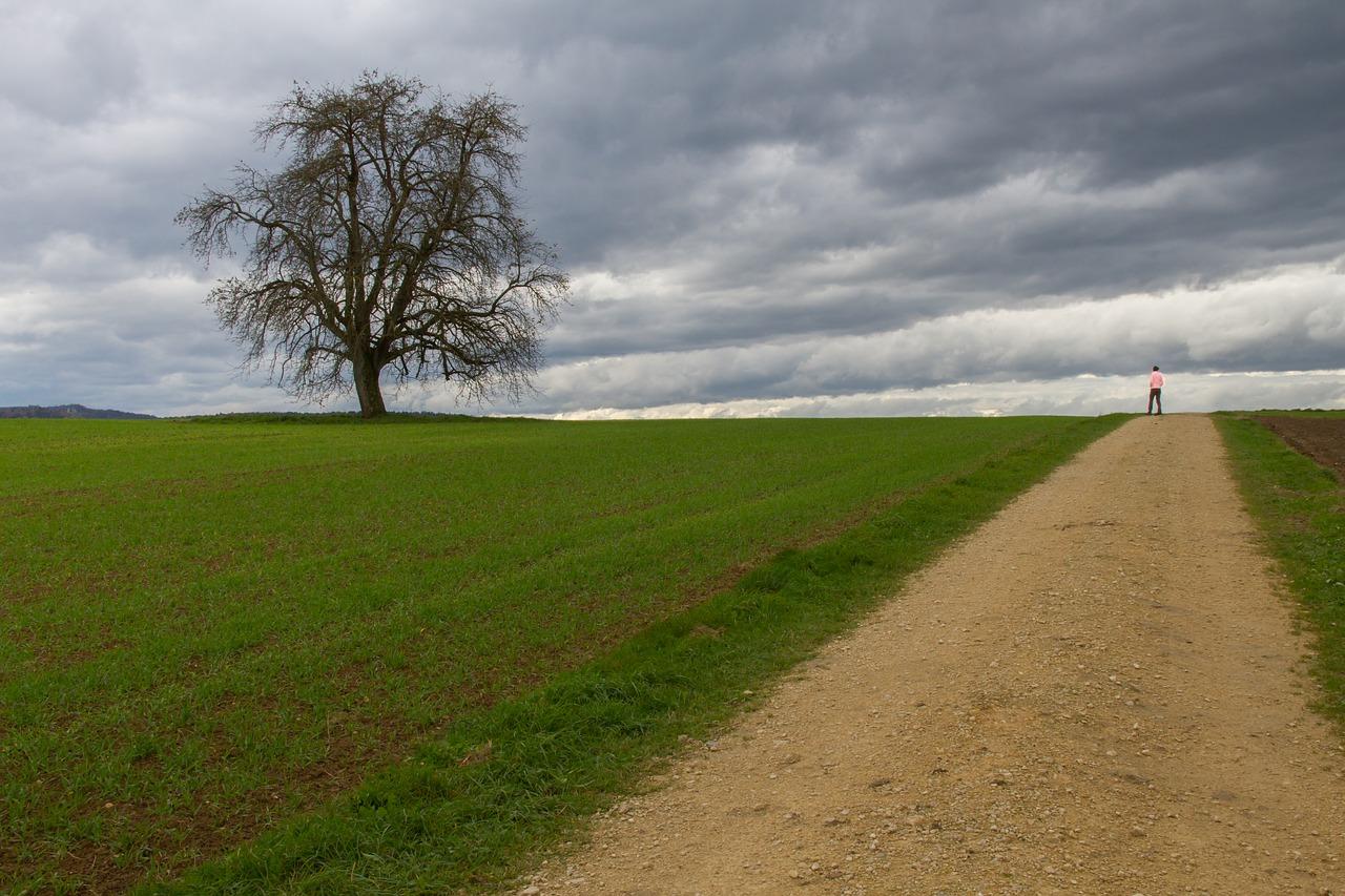 4. 周边配套完善