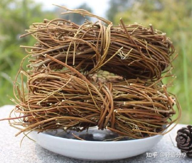 什麼是雞骨草雞骨草的功效與作用是什麼