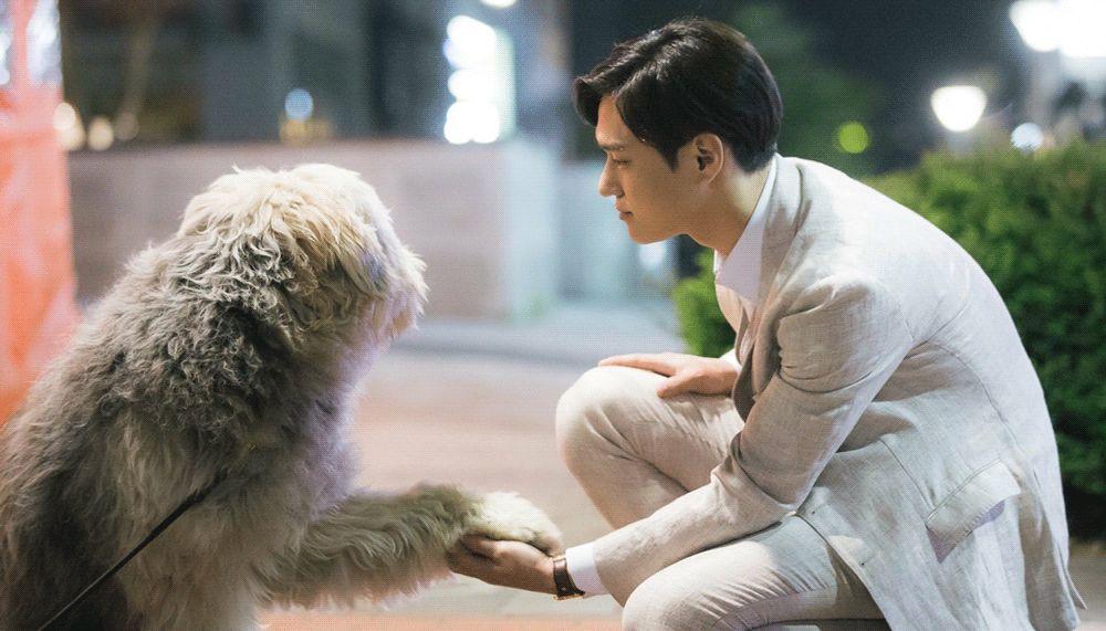 那个初次见面就被喜欢的姑娘是怎么做到的