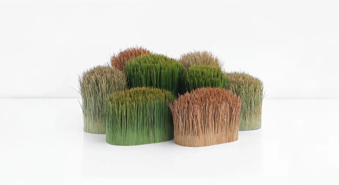 智加设计丨8款——仿生产品设计