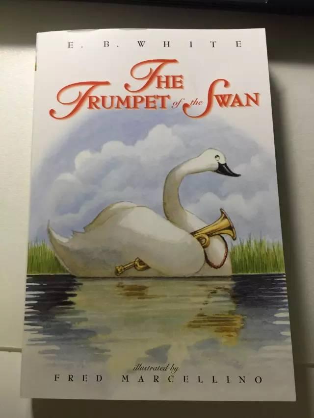 本书主要描写了一只有致命缺陷的天鹅如何与命运抗争,克服种种困难