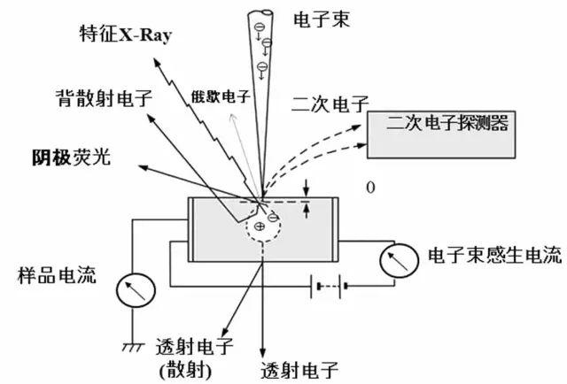 我的收藏夹