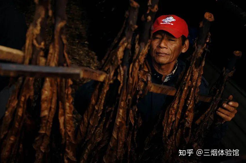 【基础篇】烟斗101:烟丝的类型 - 知乎