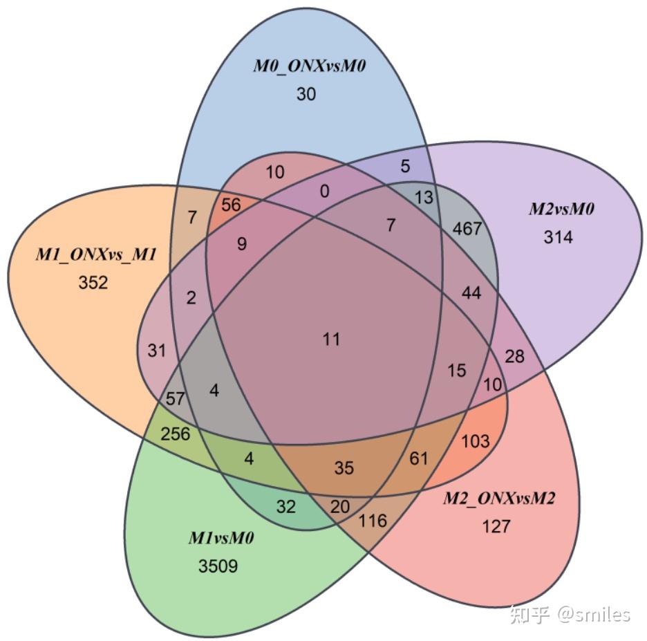 r语言venn图绘制