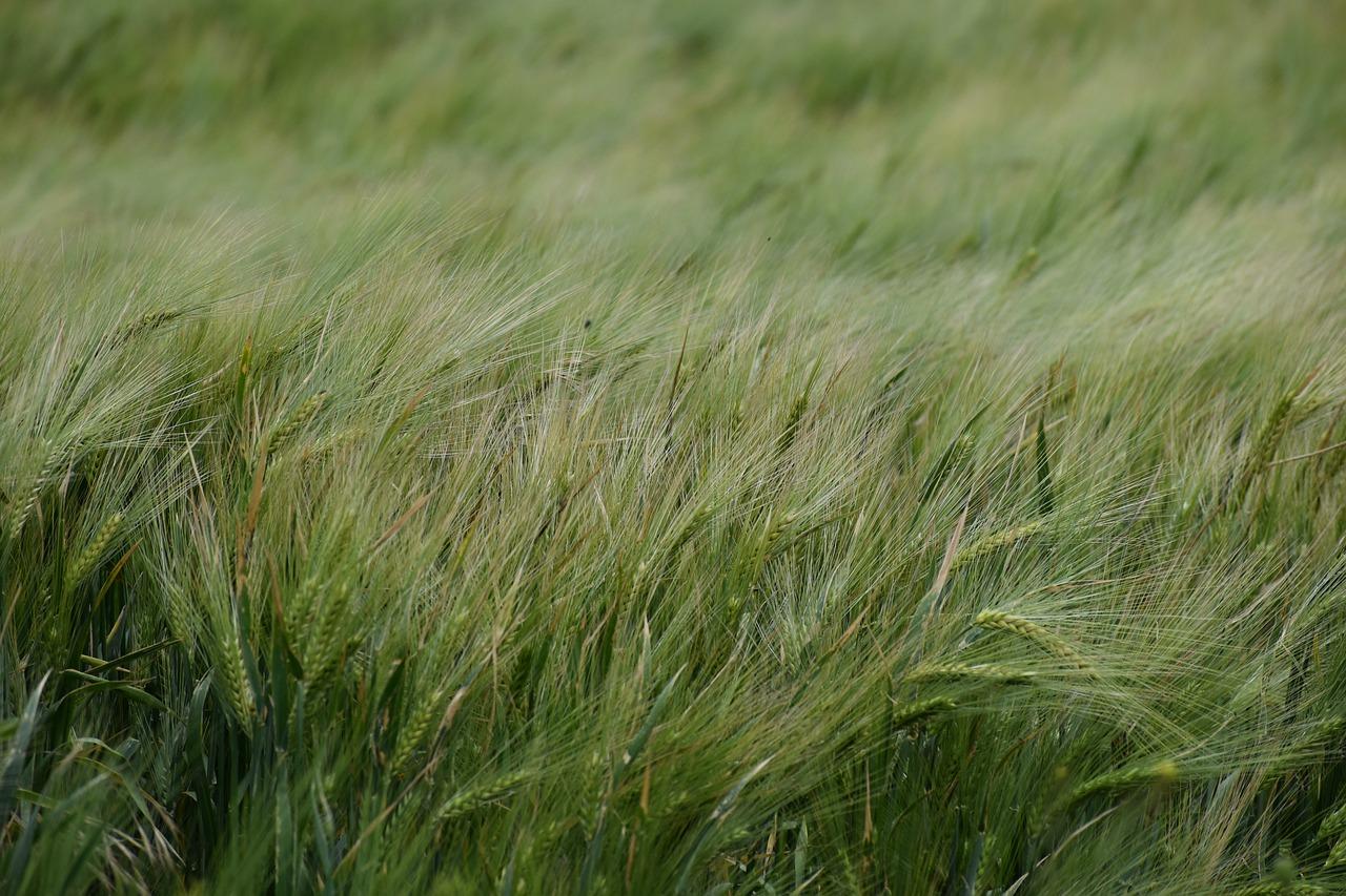 四千亩是多少公里