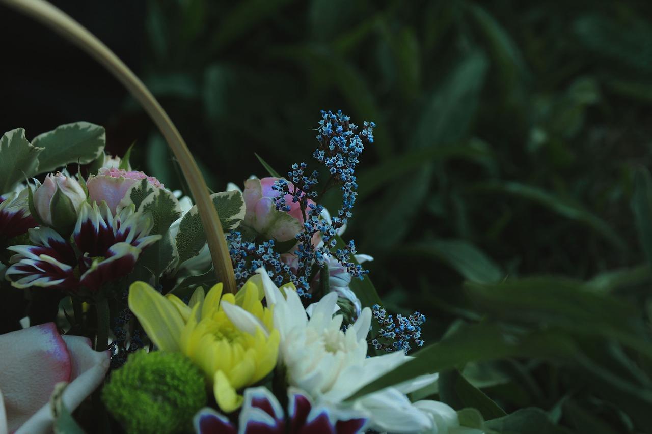 星爷迷倒多少女人