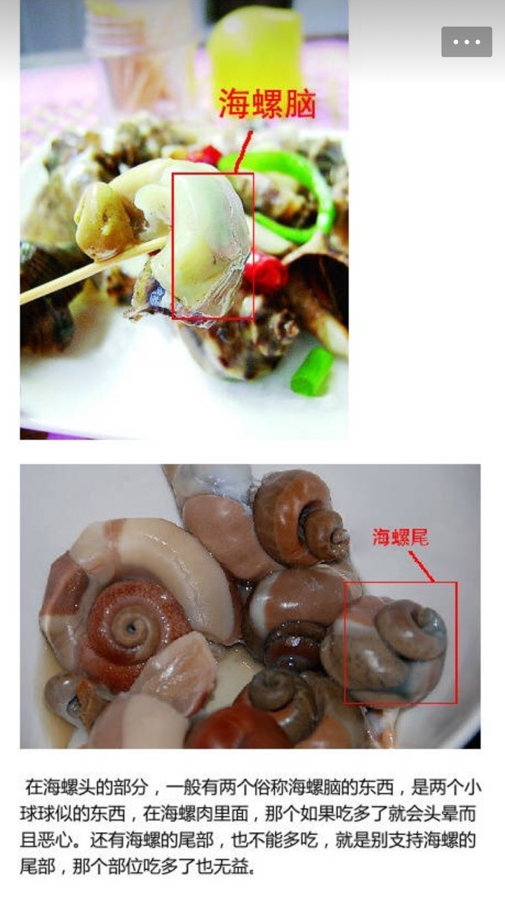 海螺哪些部位不能吃图图片