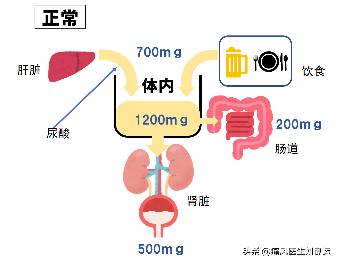 尿酸高的形成是人体嘌呤代谢紊乱