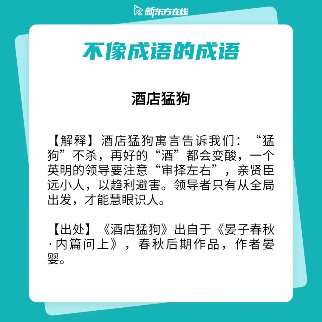 酒店猛狗,惨绿少年是成语?我读书少你别骗我!