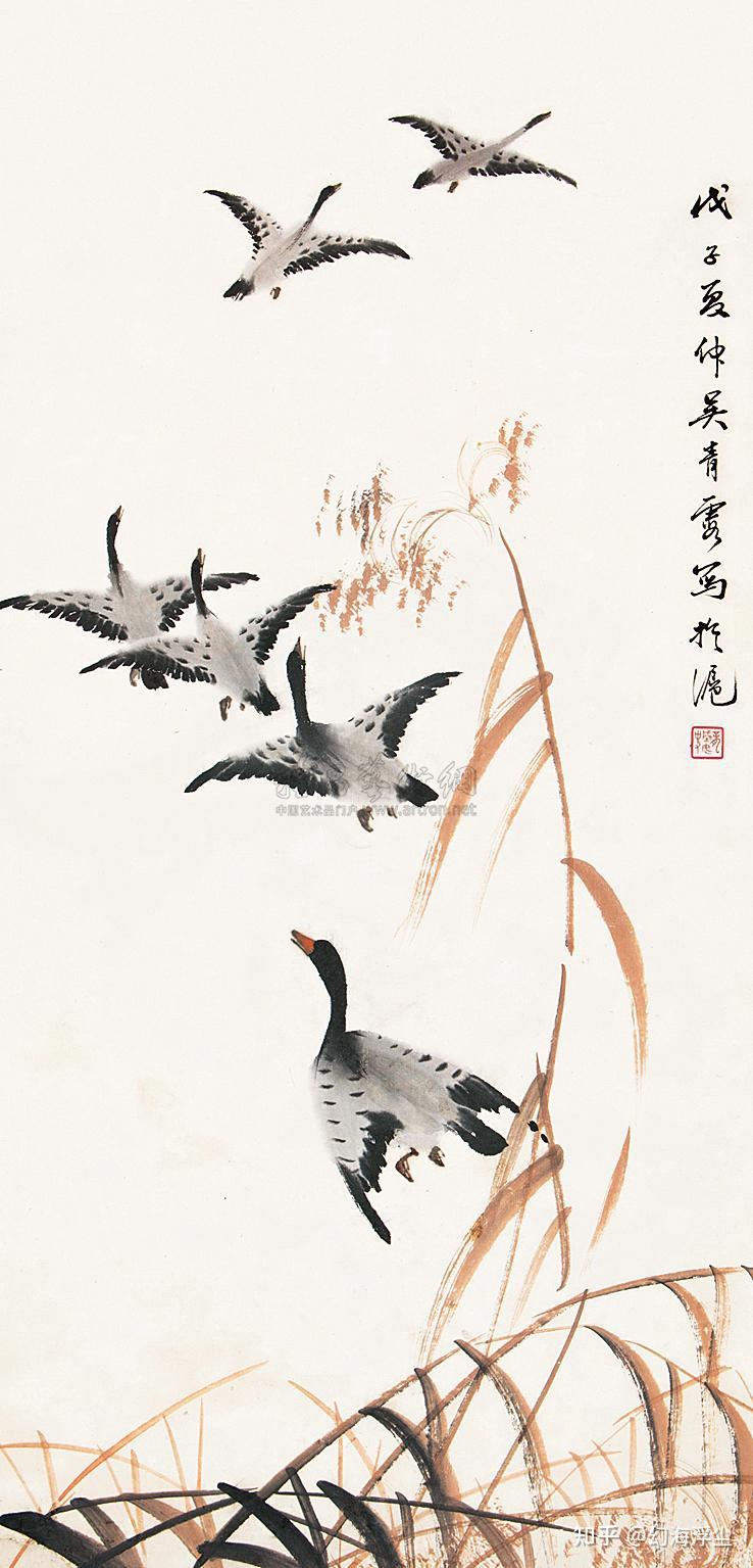 秋天到了大雁为什么往南飞为什么在线