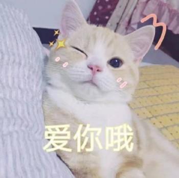 女生撒娇专用表情包,速速收藏! - 知乎