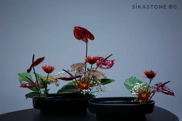 小原流教授证书到底值多少钱 知乎