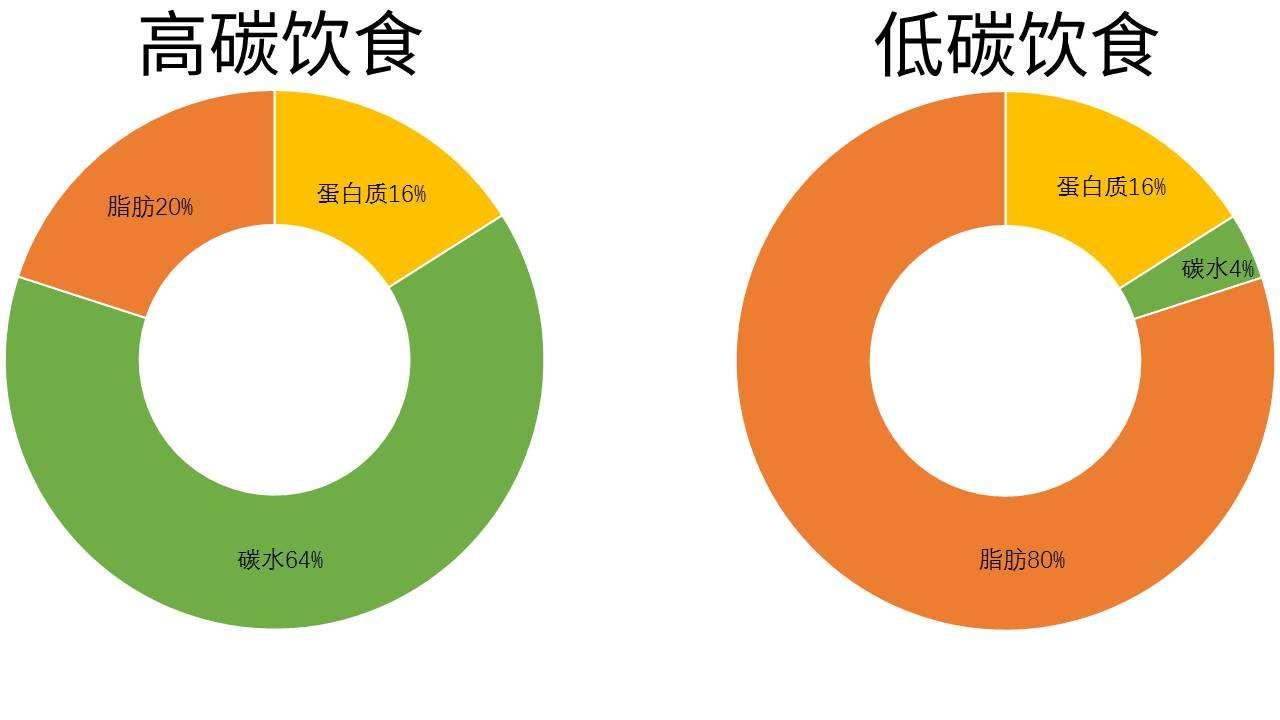 蛋白质减肥法的食谱_蛋白质减肥法成功经验_纯蛋白质减肥法