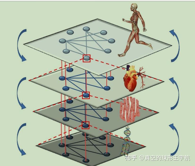 运动生理学的网络:超越分子和组学的视角 - 知乎