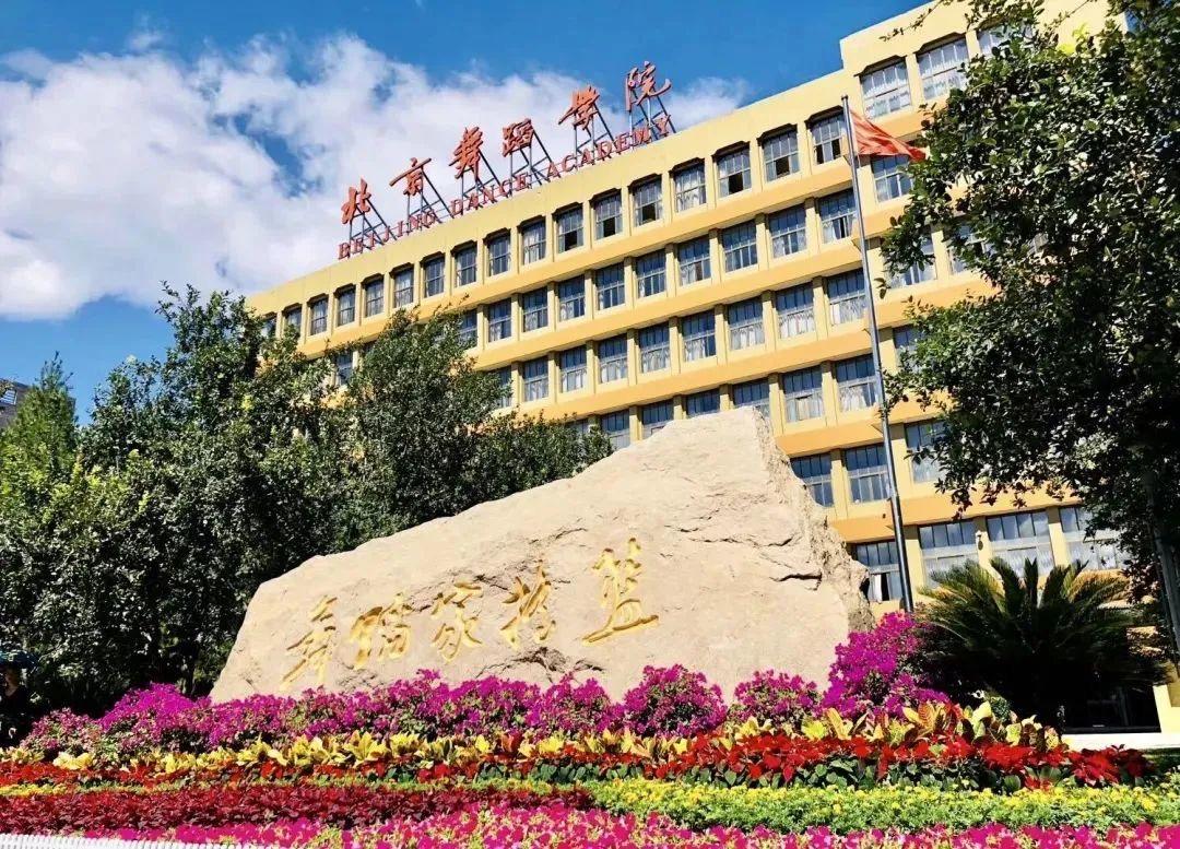 北舞考级全面解读【建议收藏】 - 知乎
