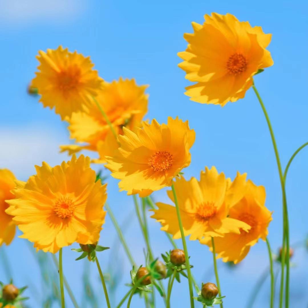 该不该和长时间不换微信头像微信名字的女生恋爱? - 知乎