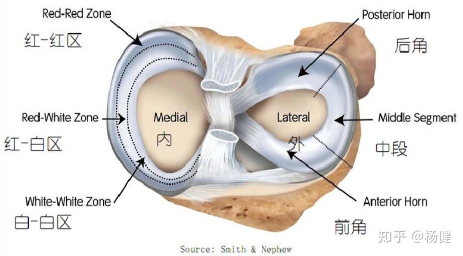 膝盖绞索可自行解开图片