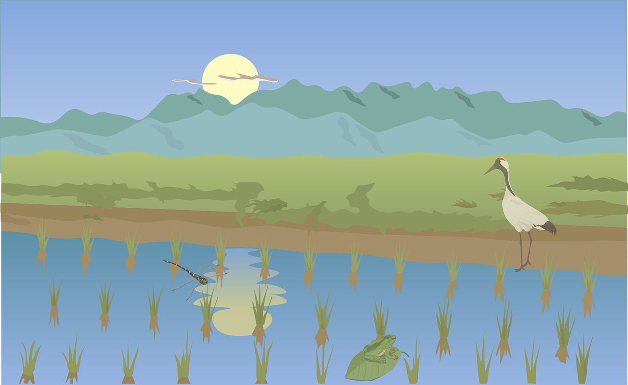 3. 农垦土地政策