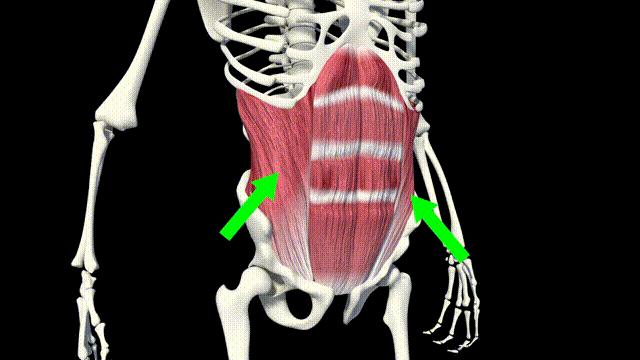 核心球员表现与角色分配全面盘点