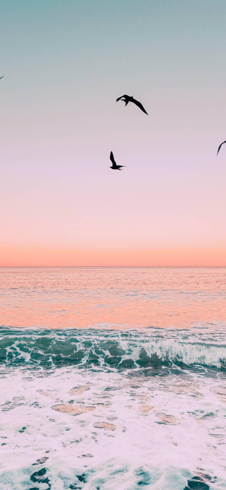 有没有那种少女心爆棚的粉色系壁纸