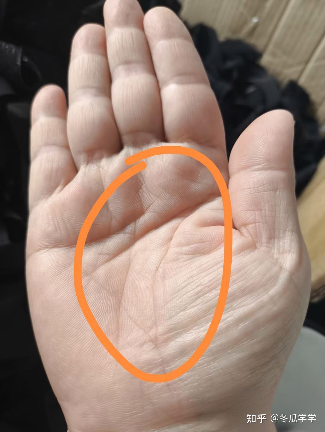 双事业线,蛮不错的一位男生手相