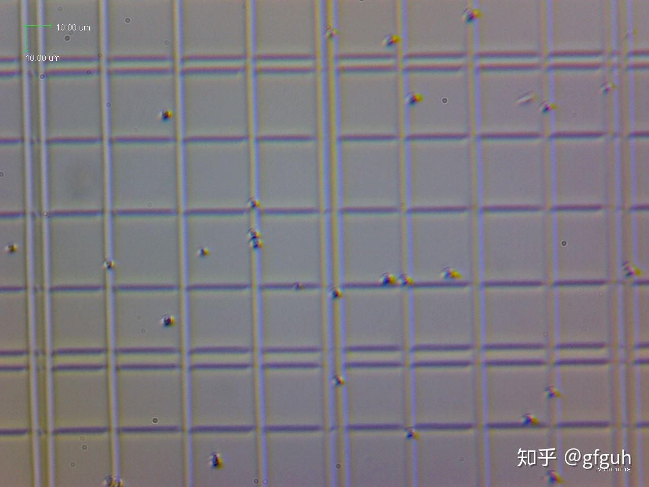毕赤酵母菌中国基因工程再飞跃 福隆集团重磅呈现天花板级胶原蛋白- 医美行业观察