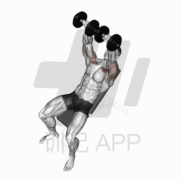 新手胸肌训练指南多图