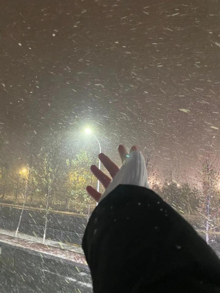 他朝若是同淋雪  此生也算共白头