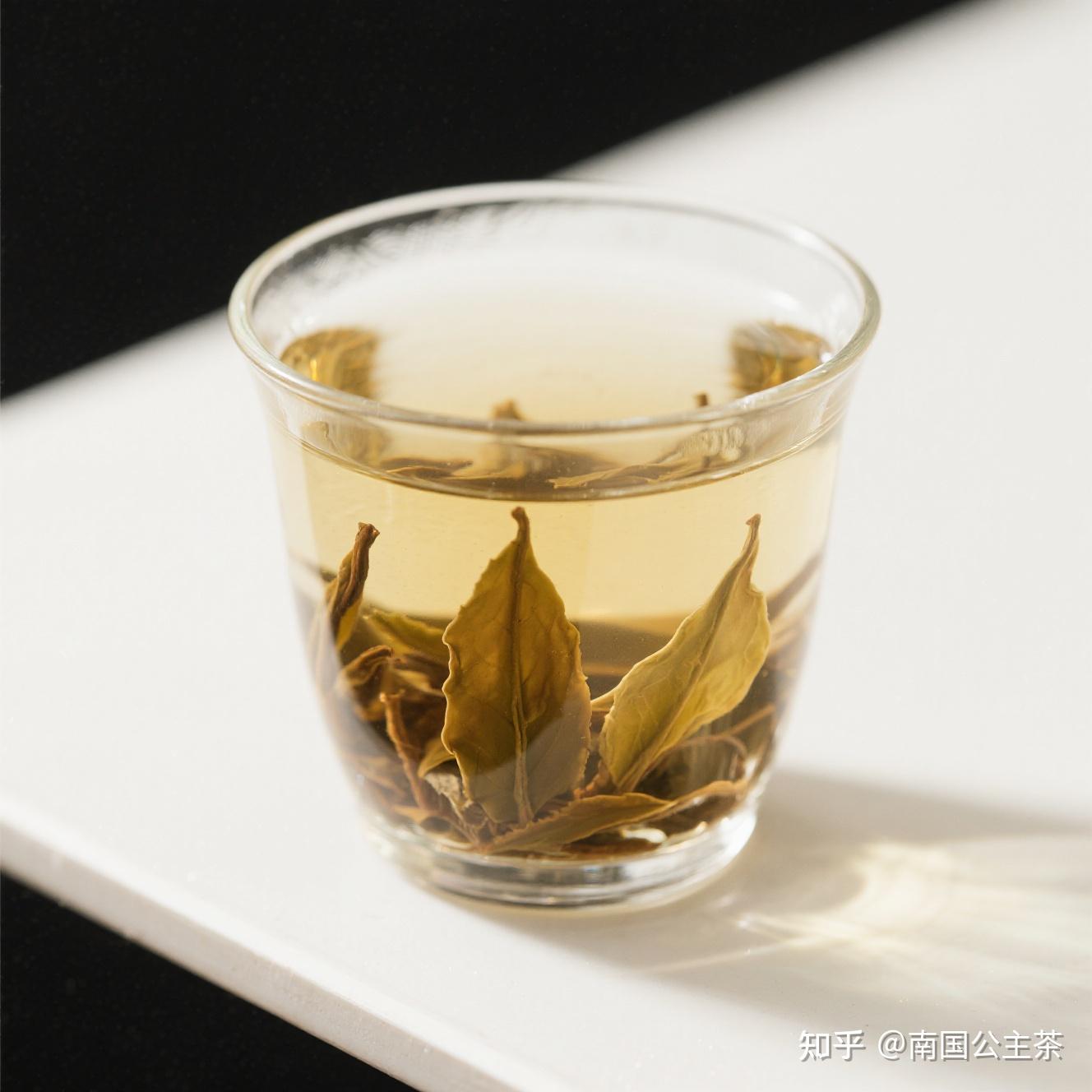 普洱生茶香气大赏- 知乎