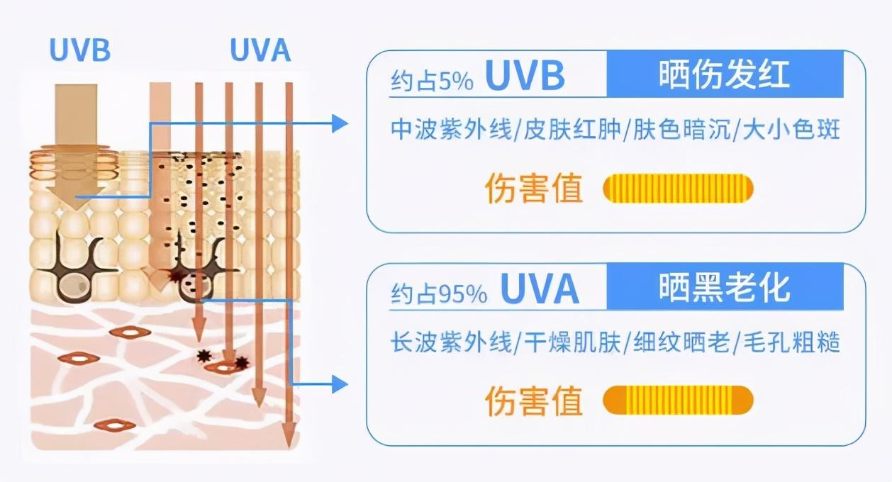 紫外线示意图图片