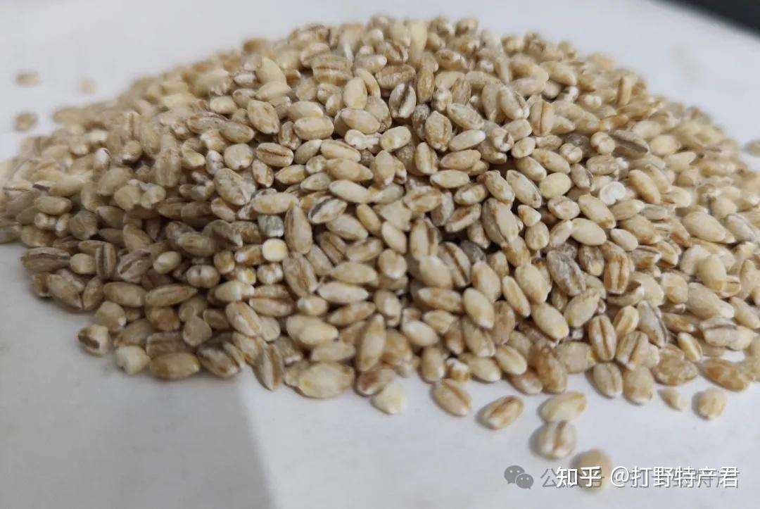 大麦青稞,有这么多好处? - 知乎