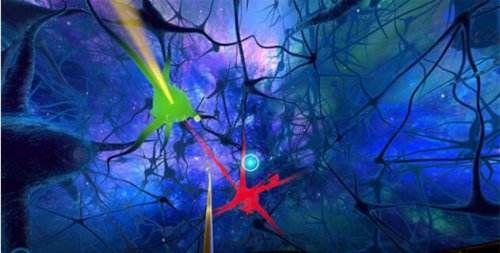 很讽刺的是,从前被视为幻觉,联觉的病症,如邦纳特症候群或颞叶颠痫等