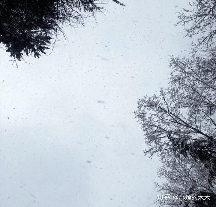 金陵晨雪 知乎 金陵晨雪 知乎
