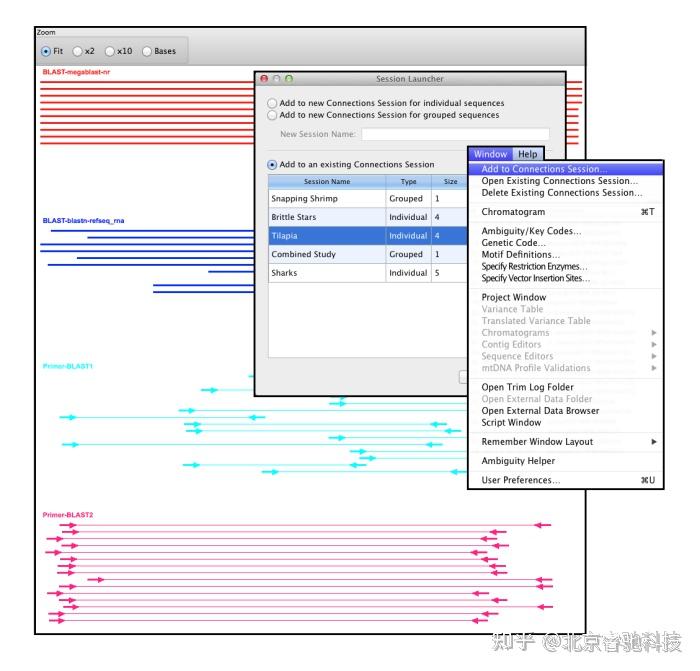 探索Sequencher软件的Connections功能 - 知乎
