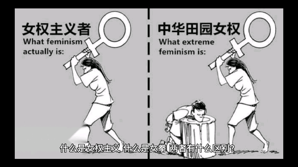 能详细讲讲女权和女拳的区别吗? - 知乎