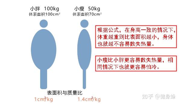 为什么锻炼身体后还是弱不禁风? - 知乎
