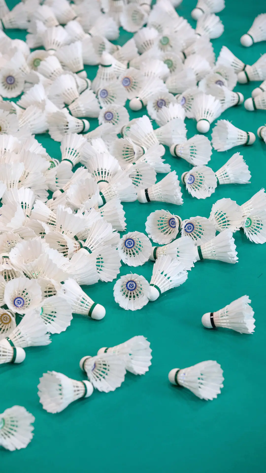 有没有关于羽毛球的头像壁纸背景图片推荐