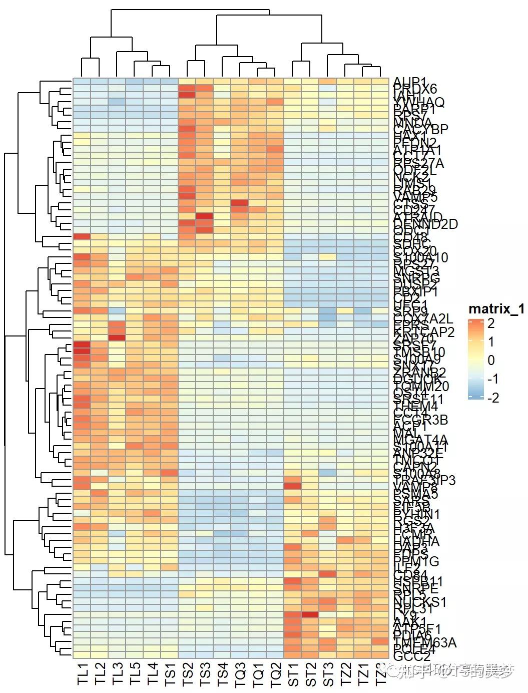 Complexheatmap Update Issue Echemi 热图4：complexheatmap画复杂热图行列注释 知乎 Vrogue