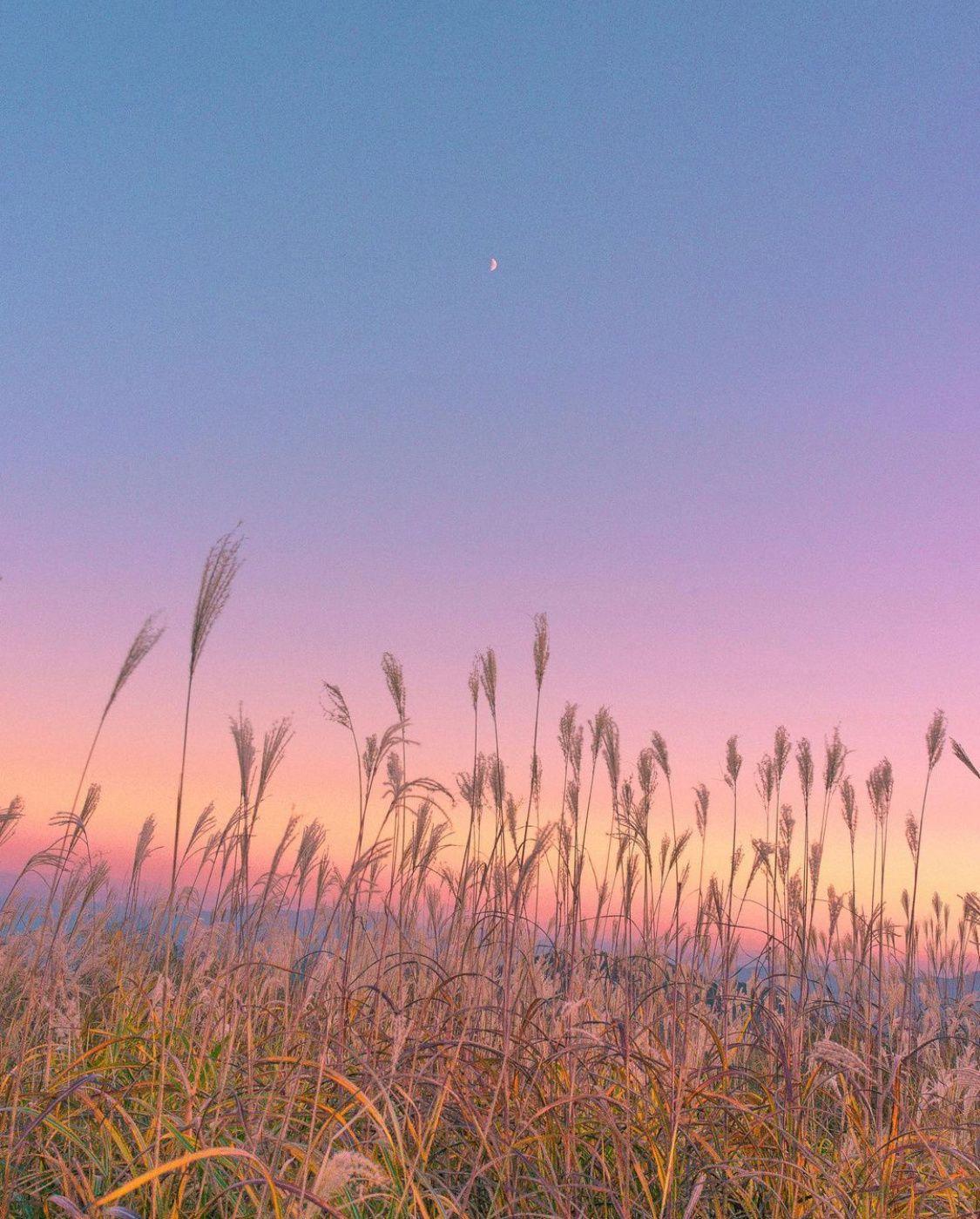 有什么微信状态背景图让你舍不得换?