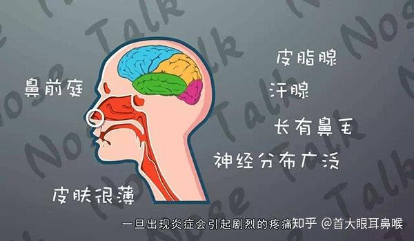 首大冯文凤 这竟然是鼻前庭炎的信号 你绝对想不到 知乎