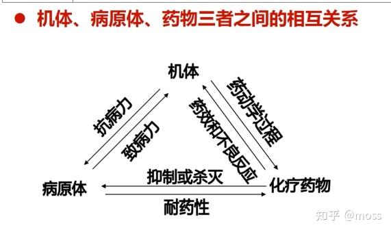 39章 抗菌药物概论 - 知乎